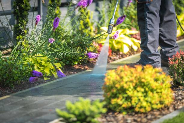 Best Roof Washing  in Plant City, FL